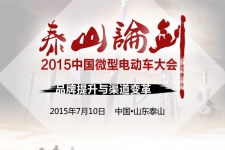 泰山论剑——2015中国微型电动汽车大会