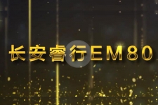 视频 | GNEV6颁奖年度纯电动物流车奖 长安睿行EM80