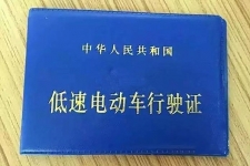 广西贵港市低速电动车获合法身份 牌照/行驶证长这样