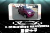 2013中国年度绿色汽车年度纯电动微型车奖：唐骏王子